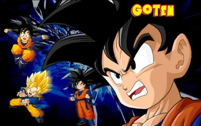 Cochez les bonnes informations sur ce personnage de "Dragon Ball".