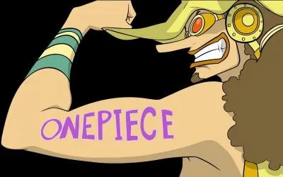 Cochez les bonnes informations sur ce personnage de "One Piece".