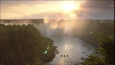 Il part chercher sa nourriture au coucher du soleil.