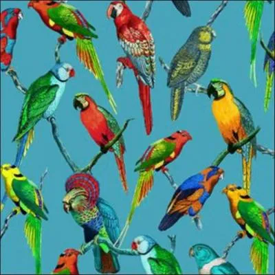 Il existe environ 370 esp&egrave;ces diff&eacute;rentes de perroquets.