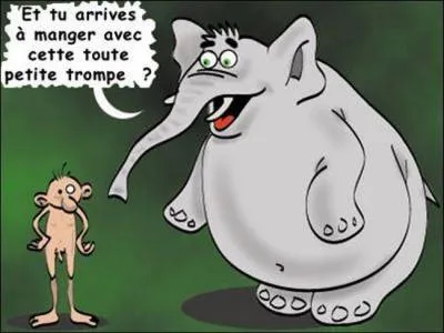 L'éléphant, animal placide, mais faut tout de même pas l'énerver, sinon il...