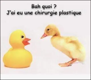 Allez, un petit facile avant d'attaquer des cris beaucoup moins connus, que fait le canard ?