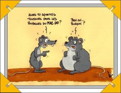 Que font les rats ? Et bien ils...