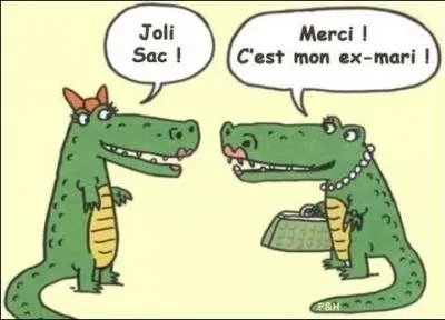 Et que fait le crocodile me direz-vous ? Et bien il... (indice : pensez aux larmes de crocodile)