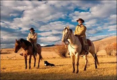 Dans "Bonanza" qui interprète Joseph « Little Joe » Cartwright  ?