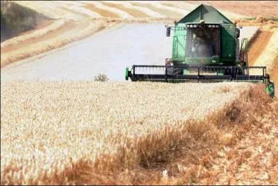 La chambre d'agriculture compte assurer l'approvisionnement en paille d'une centrale de cogénération. Où doit-elle voir le jour ?