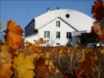 La ville de Bourgueil réputée pour son vignoble se trouve dans :