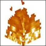 Quel est le seul moyen de s'éteindre du feu rapidement dans le Nether ?