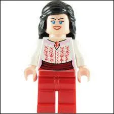 Quel est ce personnage ?