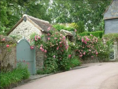 Dans quelle région se situe Gerberoy, devenu en 1928 "la cité des roses", qui chaque 3e dimanche de juin a sa propre fête, celle des roses ?