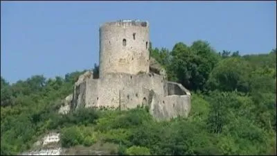 Dans quel département se situe La Roche-Guyon, peuplée de 450 habitants, ville ouverte au public depuis 2004 et célèbre pour son donjon ?