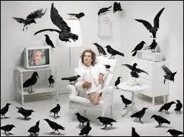 En zoologie, l'étude des oiseaux porte le nom de :