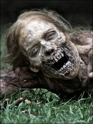 Ce zombie est-il réellement croisé par Rick dans la ville de King County  ?