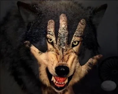 Quel est le loup qui tua plusieurs dieux dans la mythologie nordique ?