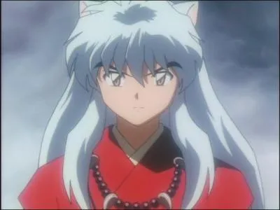 Sur cette image, Inu-Yasha est en :