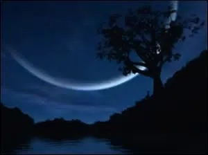 Qu'est-ce qu'un paon de nuit ?