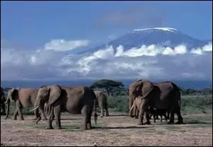 Quelle est la capitale du Kenya ?