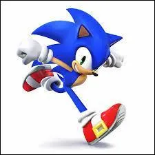 Quel monde de Sonic sera dans Super Smash Bros 4 ?