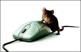 En quelle année a été créé la souris d'ordinateur ?