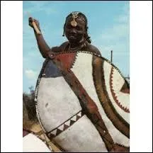 Parmi les propositions, se trouvent deux nations africaines ayant une bannière frappée d'un bouclier et de deux lances. Quel est l'intrus ?