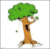 Sur le drapeau de l'un de ces pays, on ne trouve aucun arbre. Il s'agit de/du :