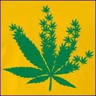 Il n'y a aucun symbole végétal figurant sur la bannière du/de :