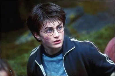 De quel film provient cette image ?