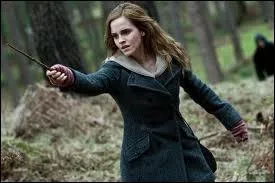 De quel film provient cette image ?