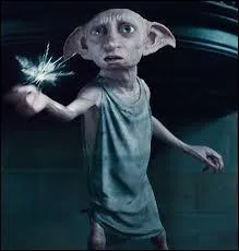 Dans "Harry Potter et les Reliques de la mort", qui tue Dobby ?