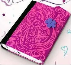 Dans la boutique, combien coûte le journal intime de Violetta ?