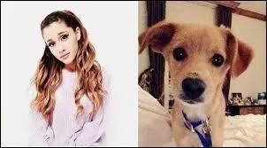 Comment s'appelle le chien d'Ariana ?