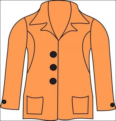 Quel est ce vêtement ?