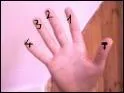 Sur cette photo, comment s'appelle le doigt numro 1 ?