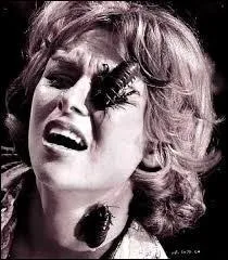 Si vous êtes un spécialiste de l'étude des insectes, vous avez l'appellation de :