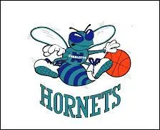 Les "Hornets" (Les "Frelons") sont les joueurs d'une équipe du championnat national américain de basketball, la NBA. Quelle ville représente cette équipe ?