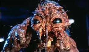 "La Mouche" est un film américain, sorti sur les écrans en 1986. Au casting, on y trouve notamment Jeff Goldblum et Geena Davis. Qui a réalisé ce long-métrage ?