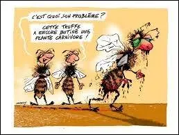 Parmi les propositions, désignez l'intrus ne faisant pas partie de la famille des insectes :