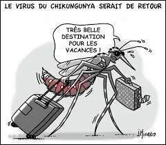 De 2005 à 2006, une épidémie de chikungunya, maladie virale transmise par des moustiques, a durement sévi dans un département français d'outre-mer. Lequel est-ce ?
