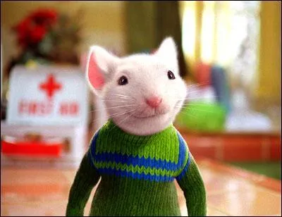 On connaît tous cette petite souris, c'est Stuart the :