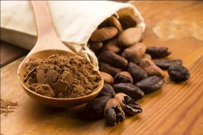 La couleur suivante tient son nom de la poudre tirée des fèves de la cabosse. C'est...