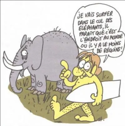 La Réunion défraye souvent la chronique, pour quelle raison ?