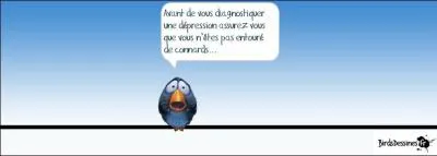 Quel nom portent les énormes dépressions ou caldeiras issues du Piton des Neiges ?