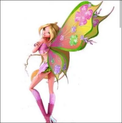 Quelle est cette transformation ?