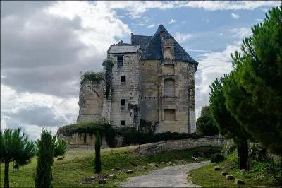 Crissay-sur-Manse en Indre-et-Loire possède dans son église Saint-Maurice un tombeau, quel est-il ?