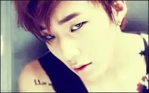 De quel groupe fait-il partie ?