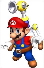 Quel est ce jeu Nintendo ?