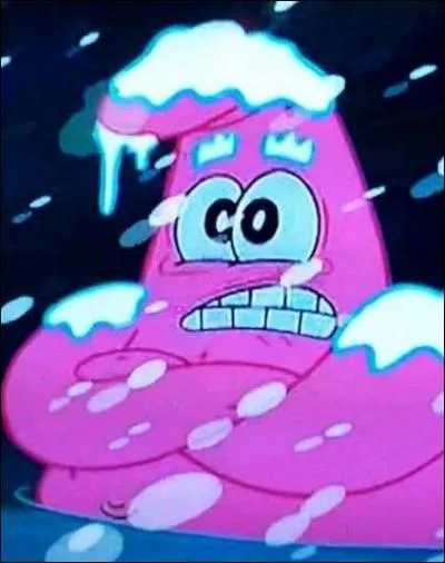 N'ouvre pas cette fenêtre ! Je ne veux pas prendre froid.