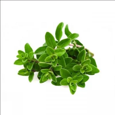 Laquelle de ces plantes est bonne pour les poumons ,