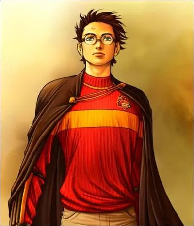 Quel garçon a, comme Harry, des cheveux d'un noir de jais ?