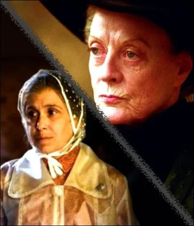 Quel est le point commun entre McGonagall et Mrs Figg ?